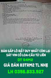 CHÍNH CHỦ BÁN GẤP LÔ ĐẤT DUY NHẤT CÒN LẠI SÁT VIN CỔ LOA-CẦU TỨ LIÊN - Ảnh chính